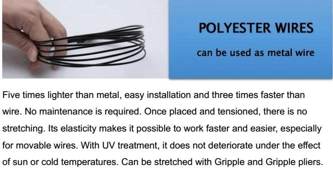 Nantong-Ntec-Monofilament-Technology-Co-Ltd 1 Nantong-Ntec-Monofilament-Technology-Co-Ltd 1
